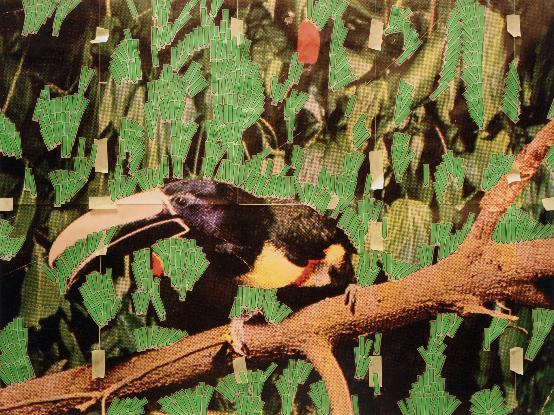 Sara Cwynar. Toucan in Nature (Post it Notes). 2013