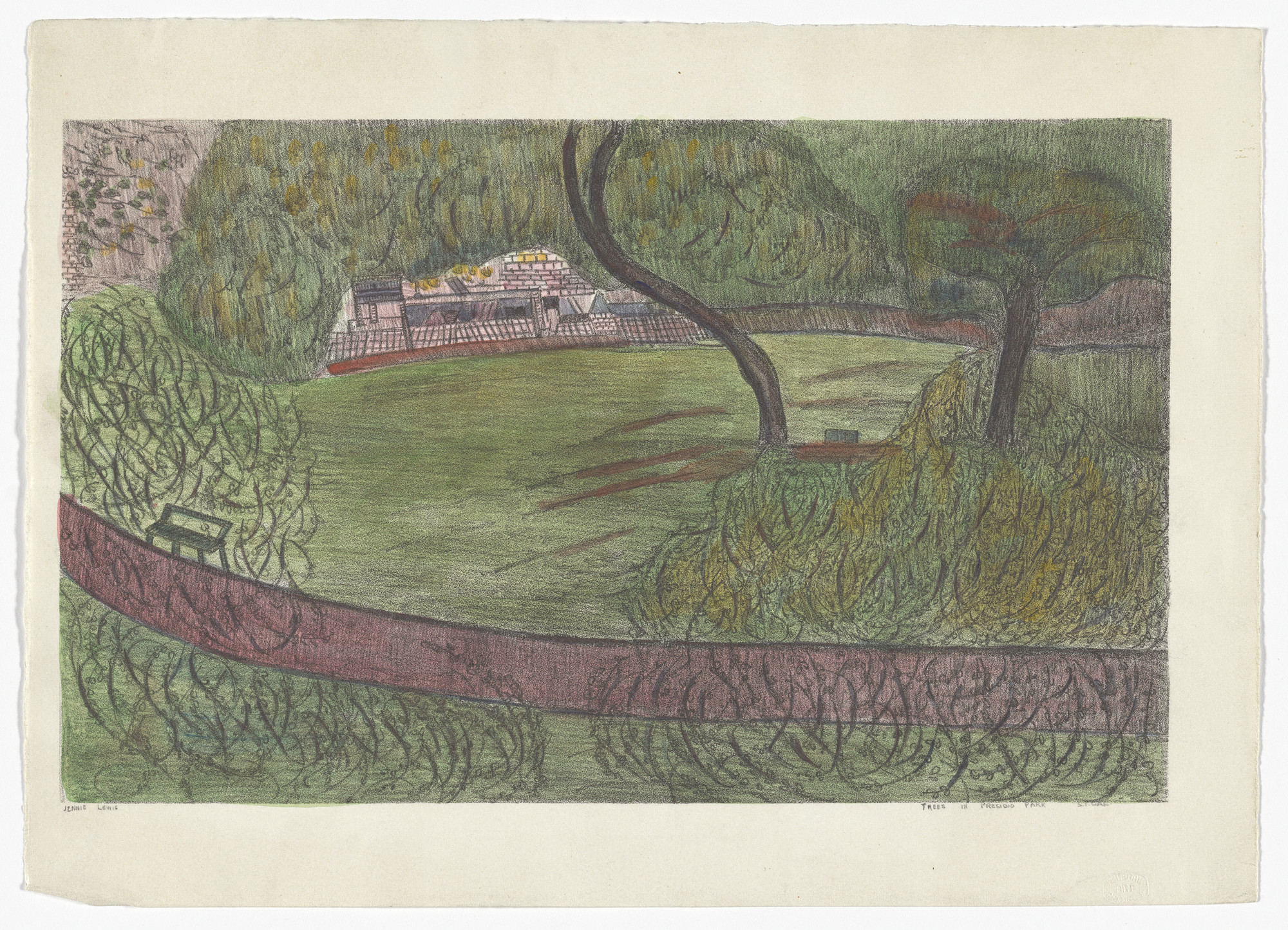Jennie Lewis. Trees in Presidio Park; San Francisco Cal