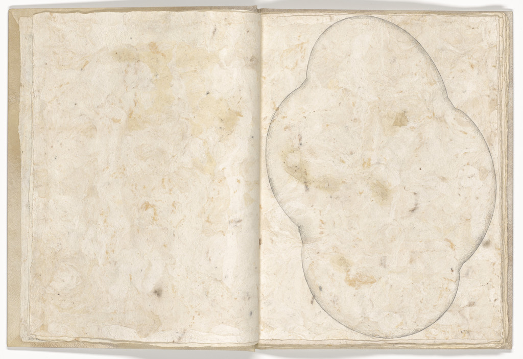 Plate (folio 5) from Memory of the Skin