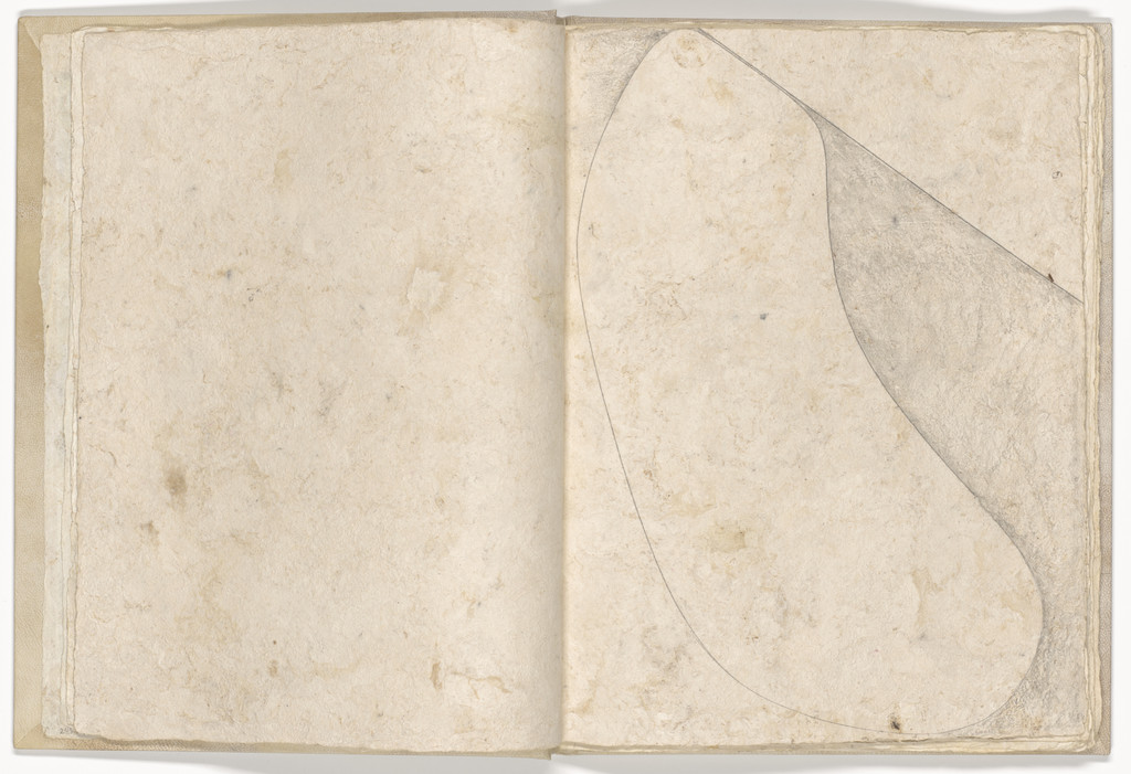 Plate (folio 7) from Memory of the Skin