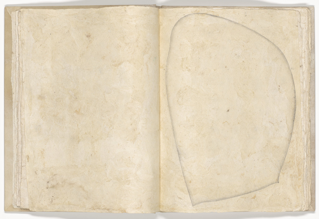 Plate (folio 11) from Memory of the Skin