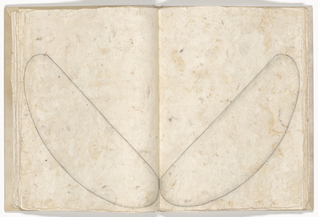 Double page plate (folios 12 verso and 13) from Memory of the Skin