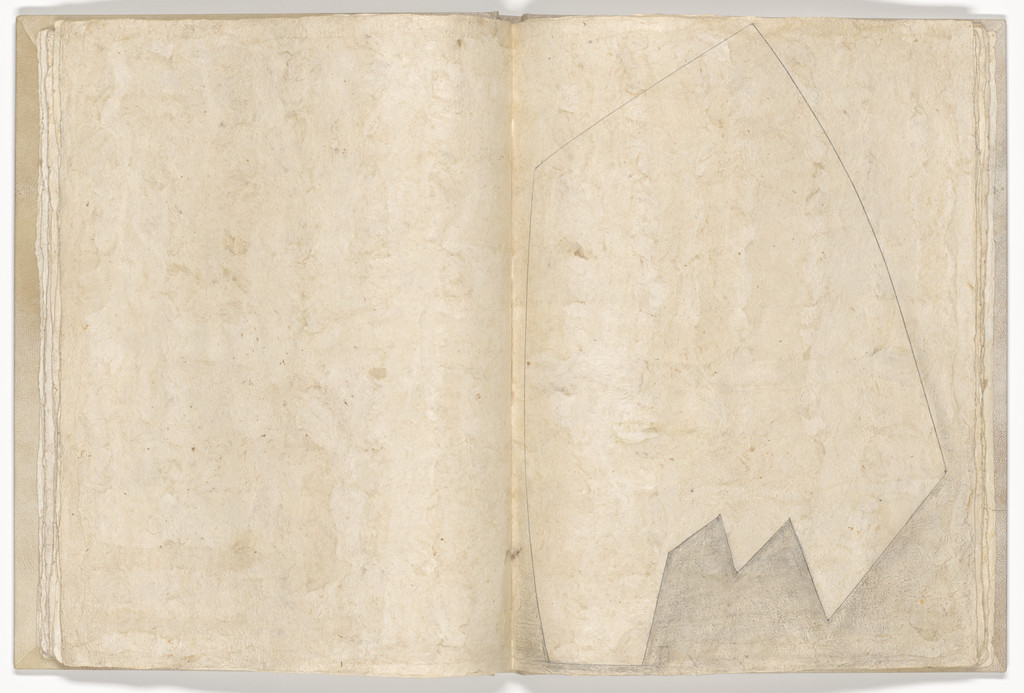 Plate (folio 15) from Memory of the Skin