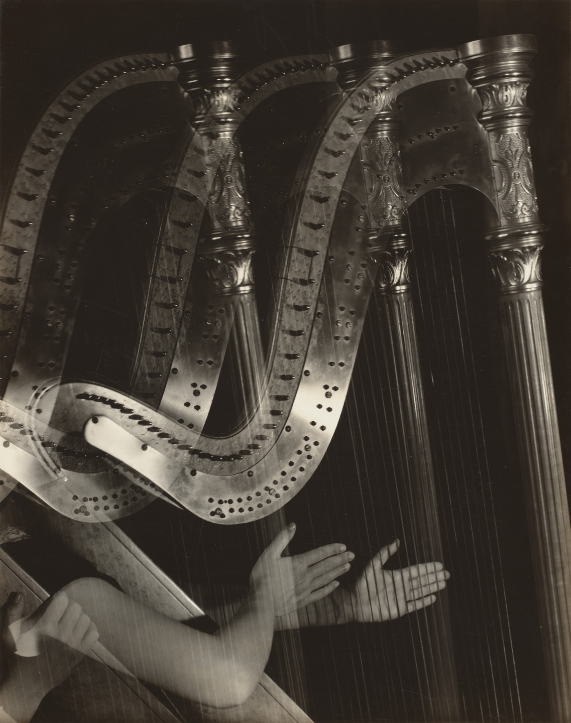 Imogen Cunningham. Three Harps. 1935