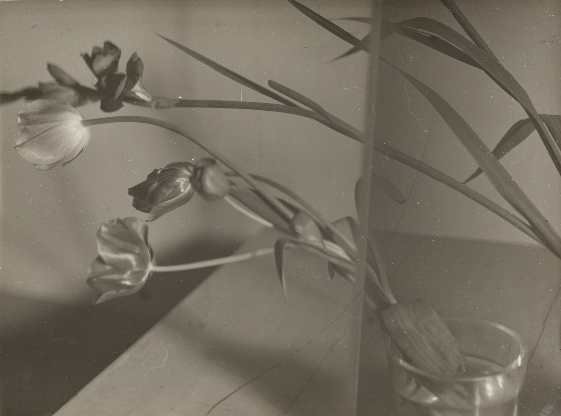 Florence Henri. Composition Nature Morte. 1931