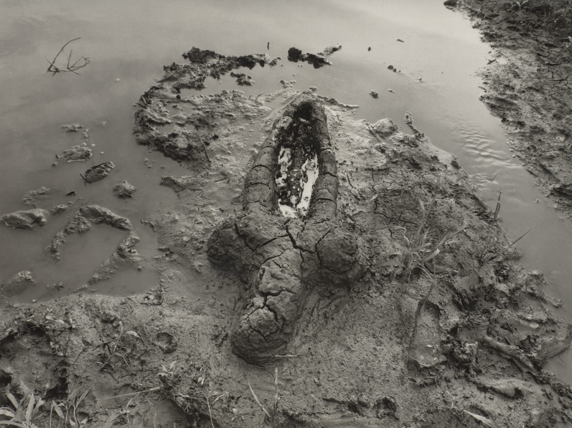 Ana Mendieta. Birth (Gunpowder Works). 1981