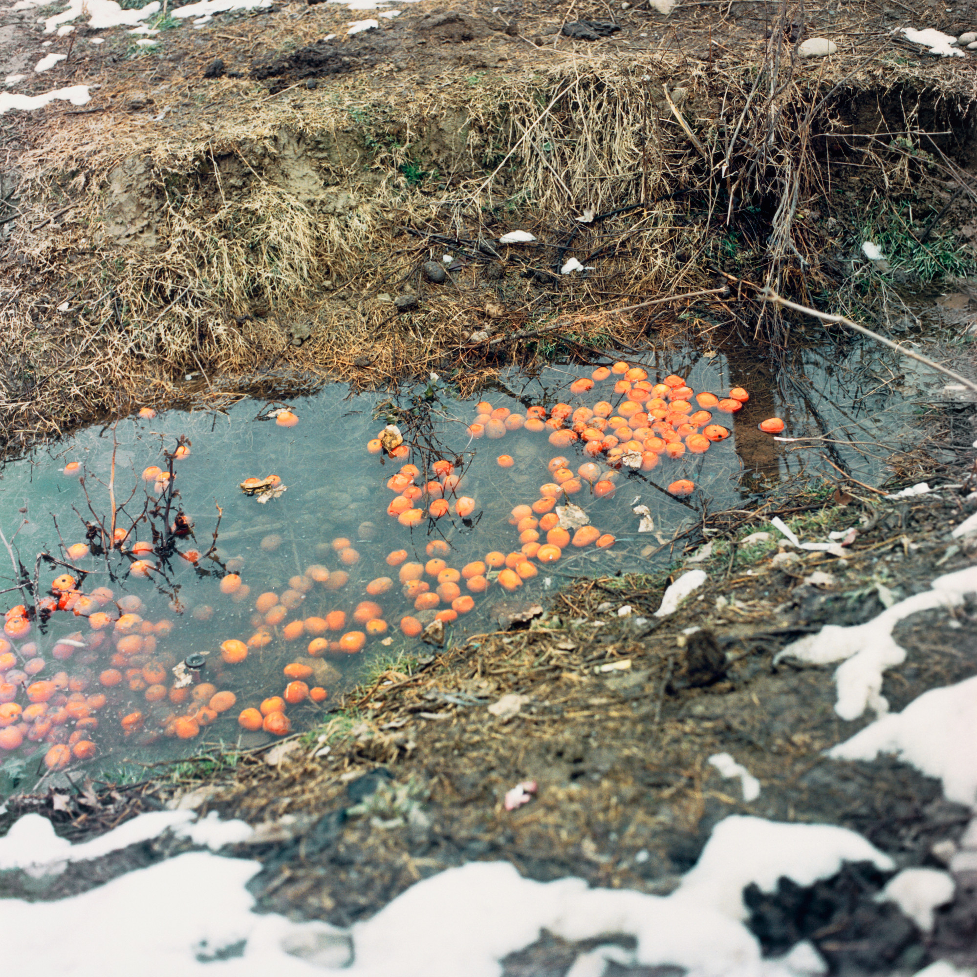 Sohrab Hura. Untitled