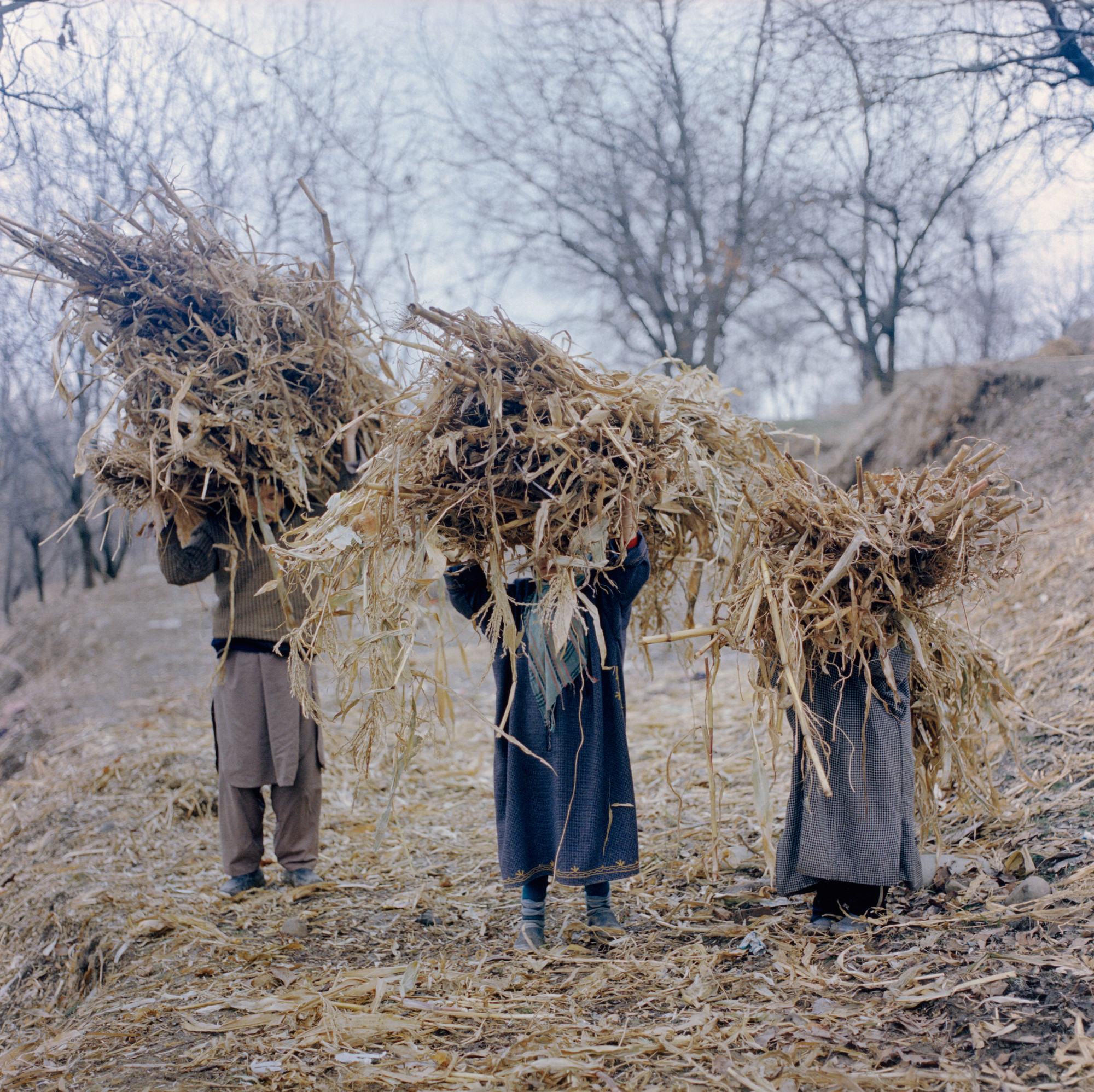 Sohrab Hura. Untitiled