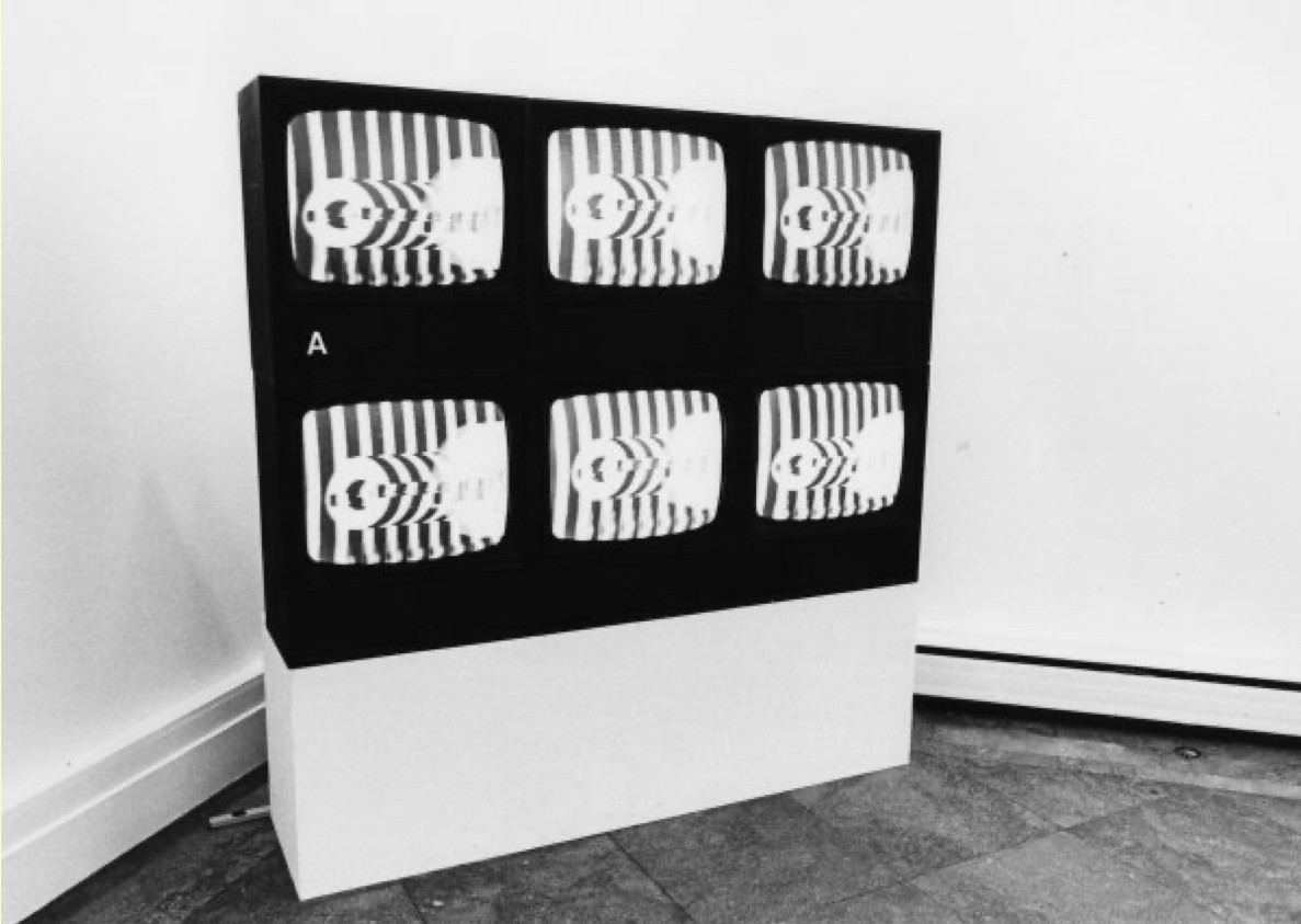 Steina, Woody Vasulka. Matrix I. 1970–1972