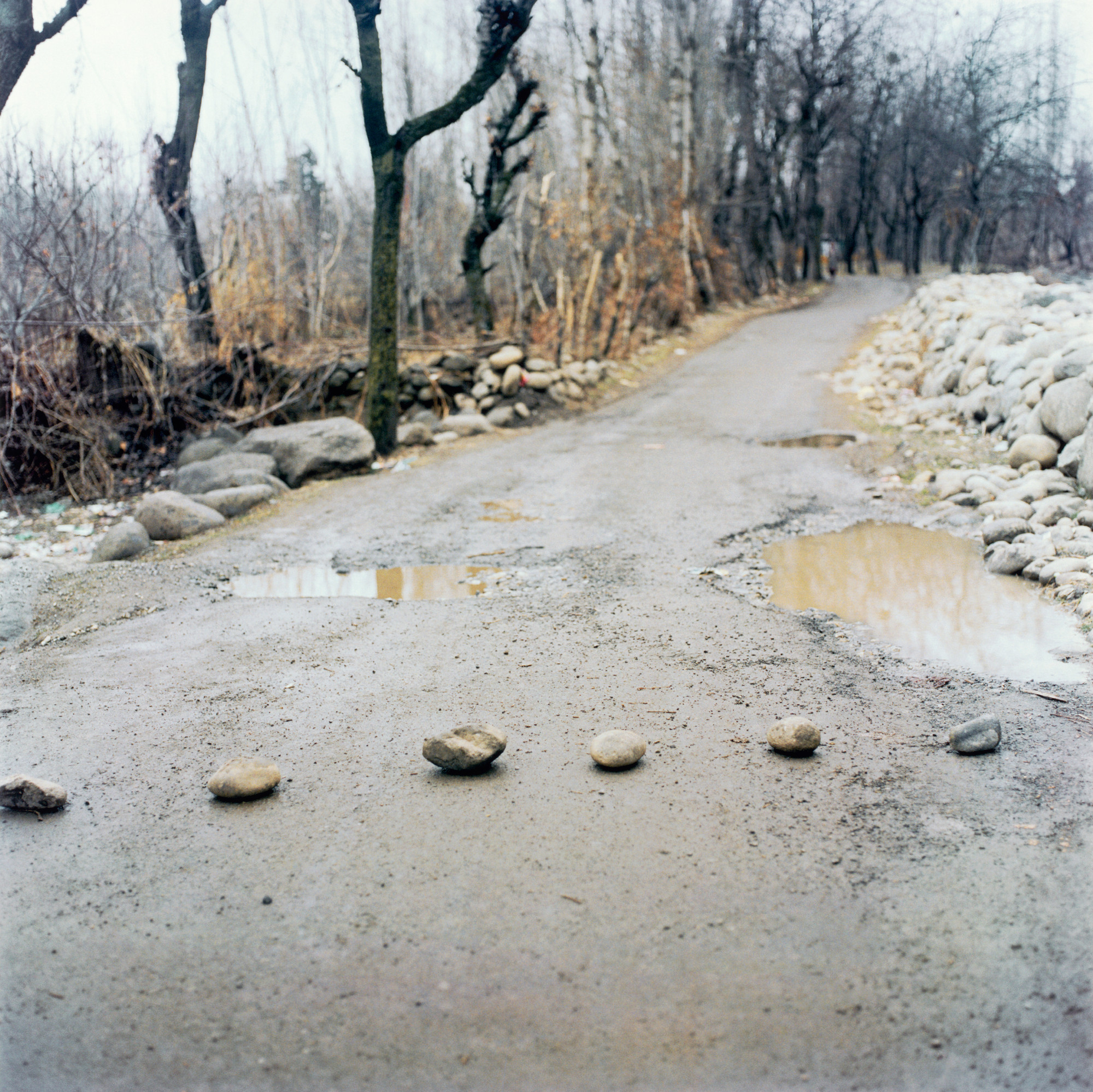 Sohrab Hura. Untitiled