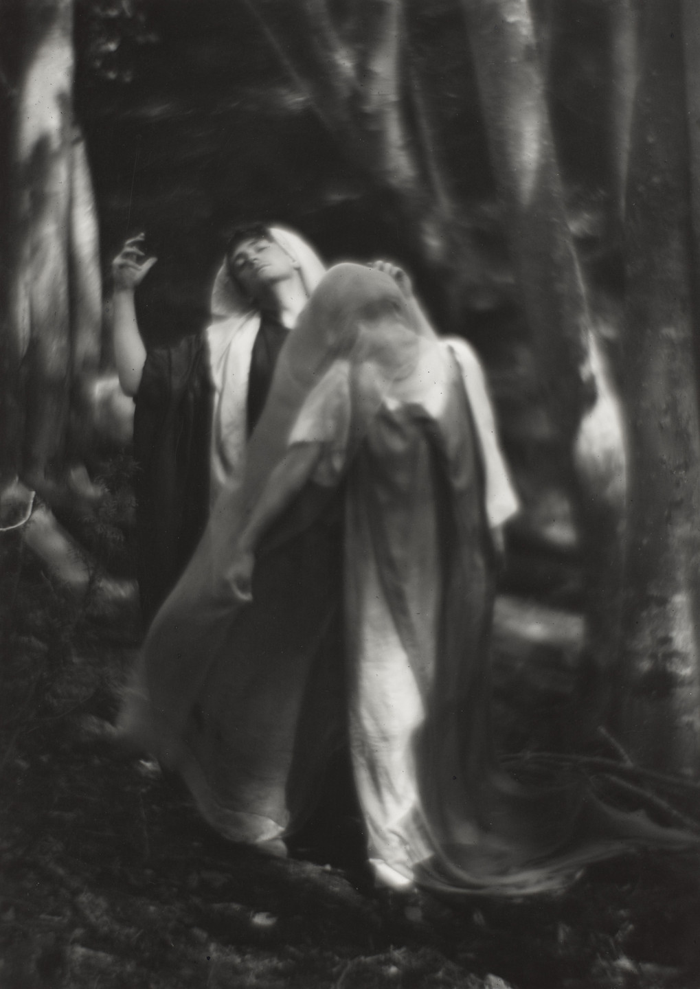 Imogen Cunningham. Woods Beyond the World. 1912