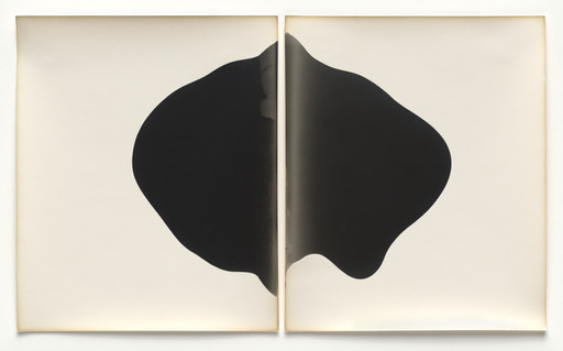Alison Rossiter. Fuji, exact expiration date unknown, ca. 1930s, processed 2010