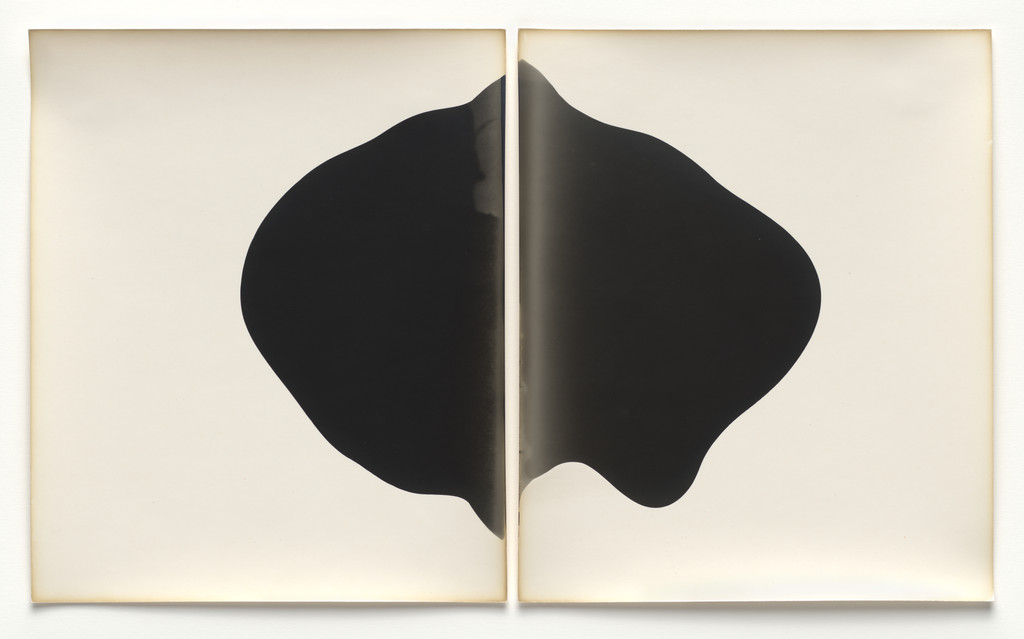 Fuji, exact expiration date unknown, ca. 1930s, processed 2010