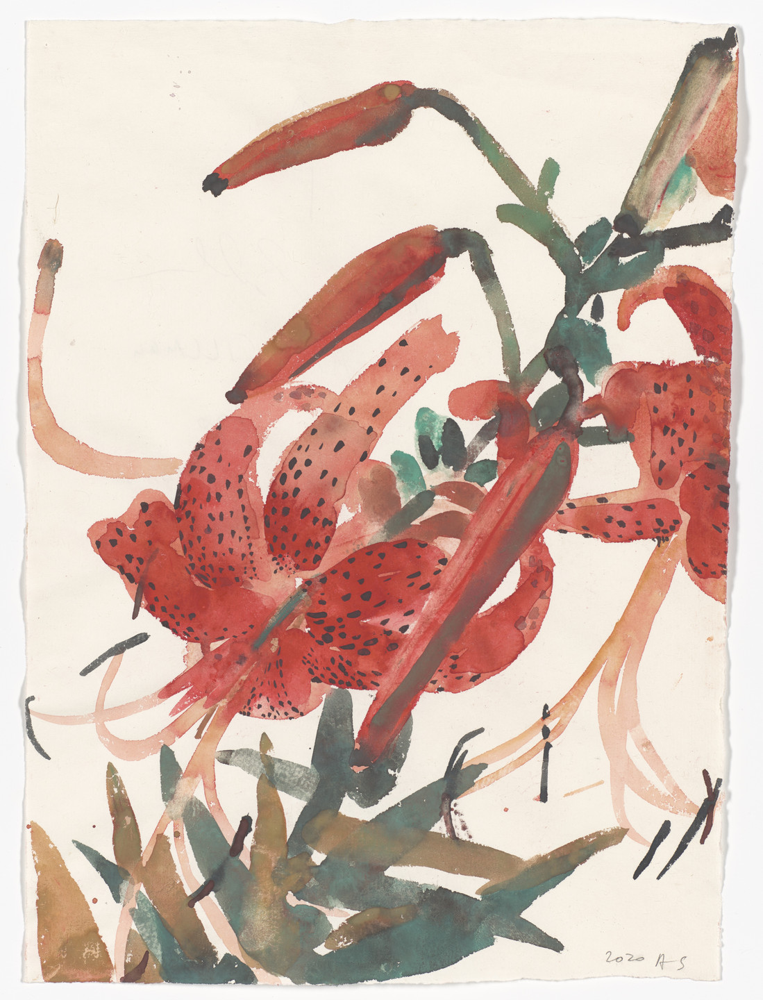 Amy Sillman. Untitled (Daylily). 2020