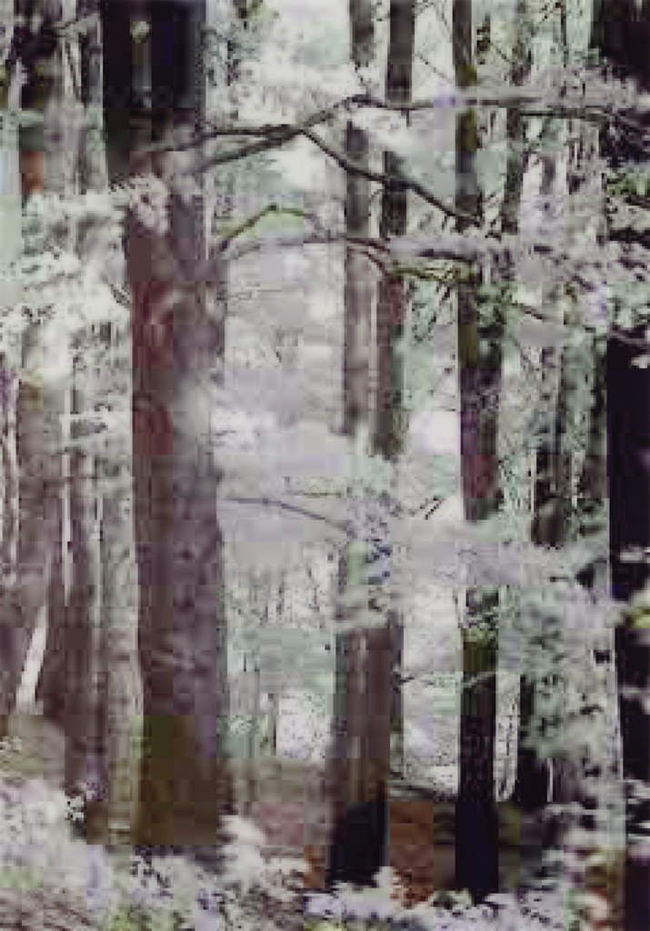 jpeg tr01, Thomas Ruff, 2007