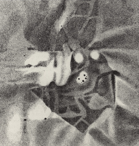 LORD ROSSE'S DRAWING OF THE ORION NEBULA