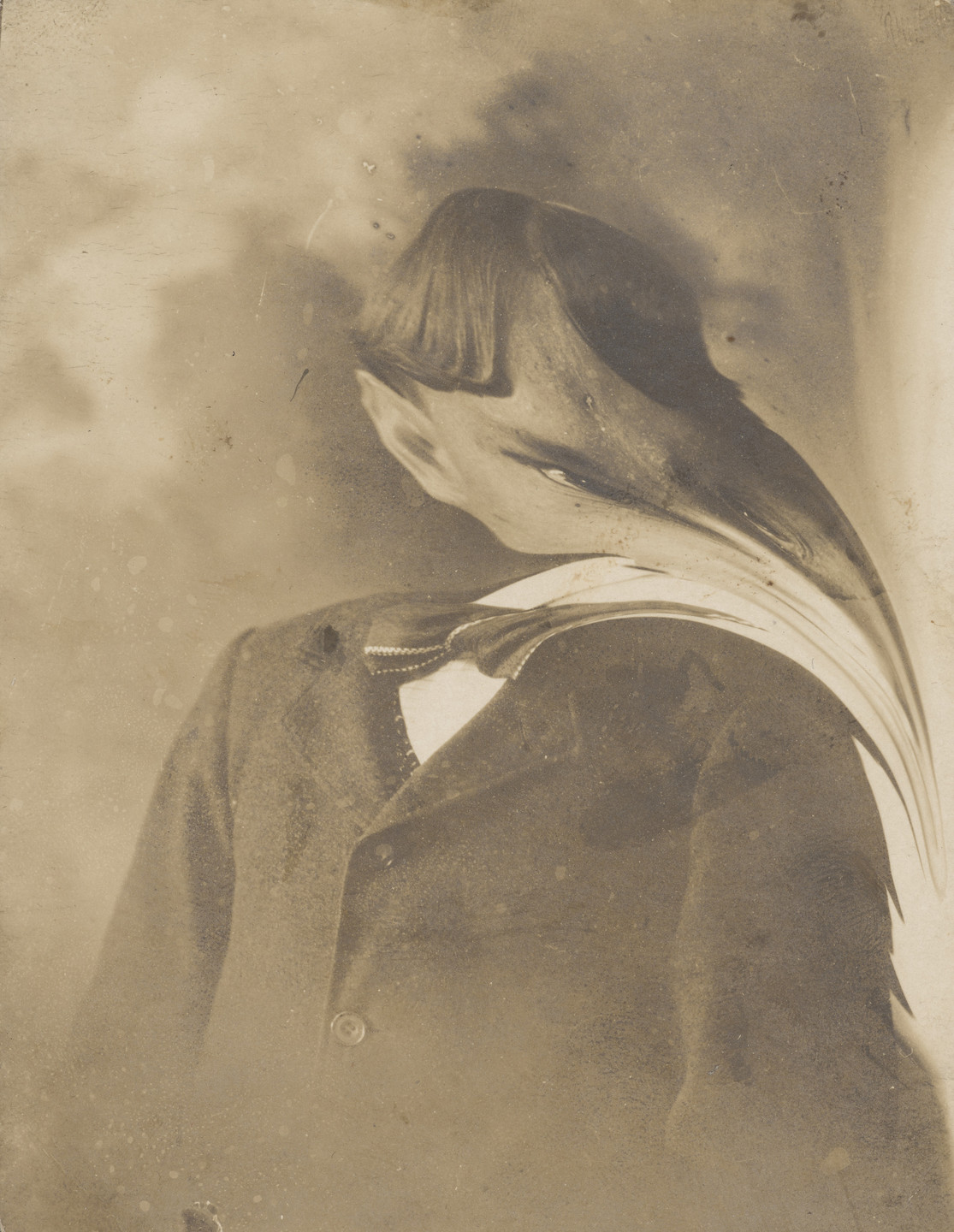Unidentified photographer. Untitled. c. 1900