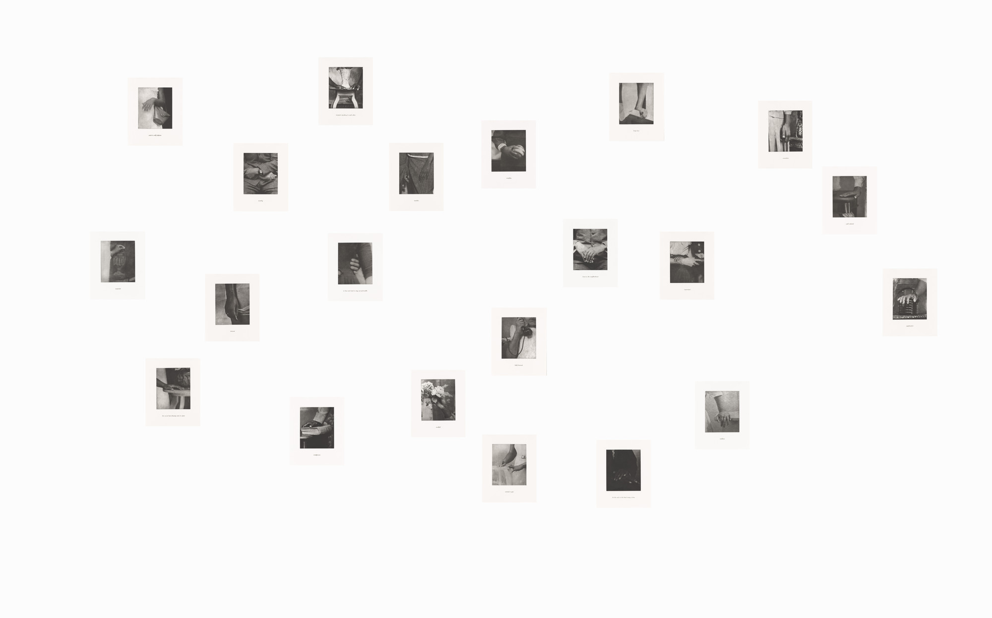 Lorna Simpson. Details
