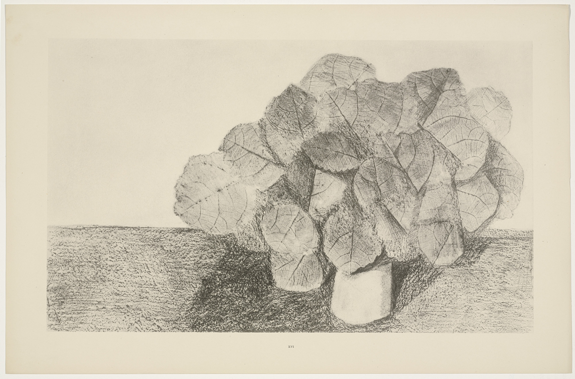 Max Ernst. The Lime Tree Is Docile (Le Tilleul est docile) from Natural History (Histoire naturelle). c. 1925, published 1926