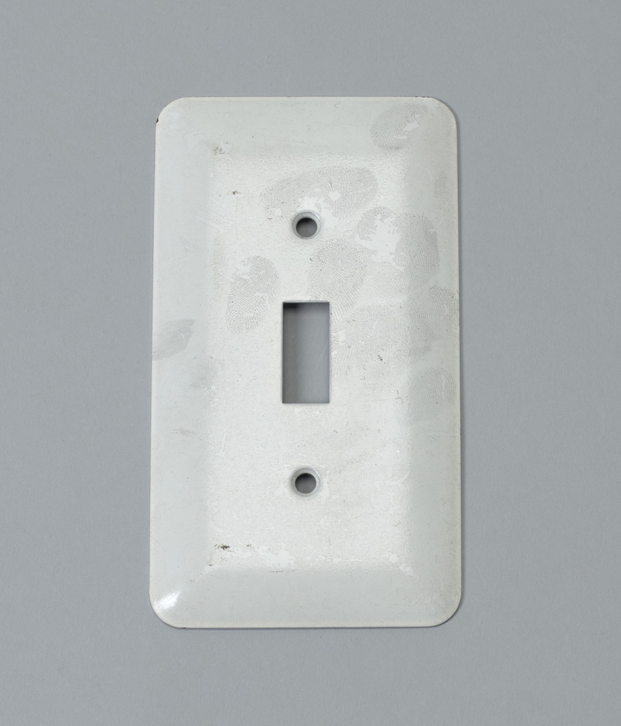 Light Switch Plate with Fingerprint