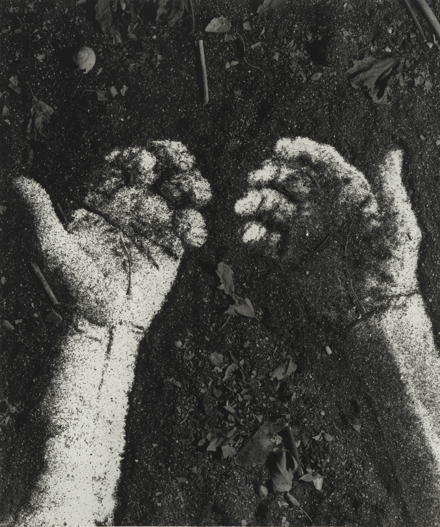 Vik Muniz. Hands