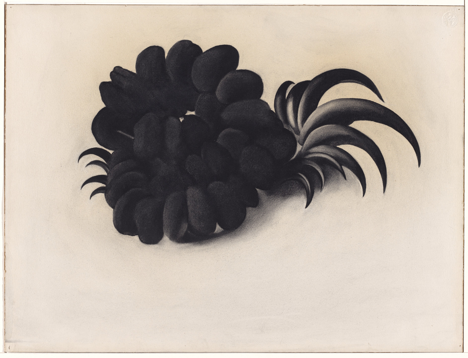 Georgia O'Keeffe. Eagle Claw and Bean Necklace. (1934)