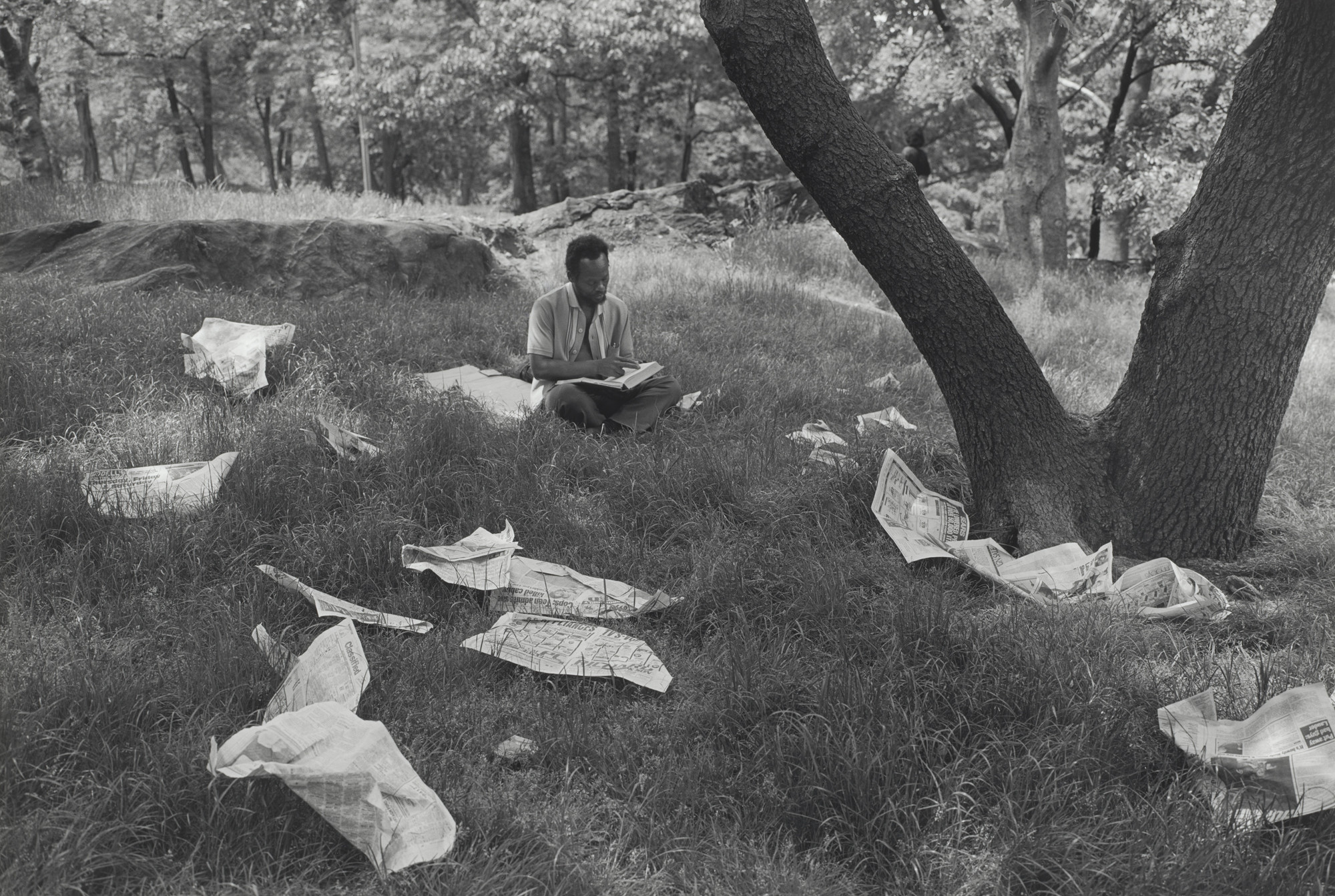 Tod Papageorge. Man and Newspapers in Grass, Central Park. 1989