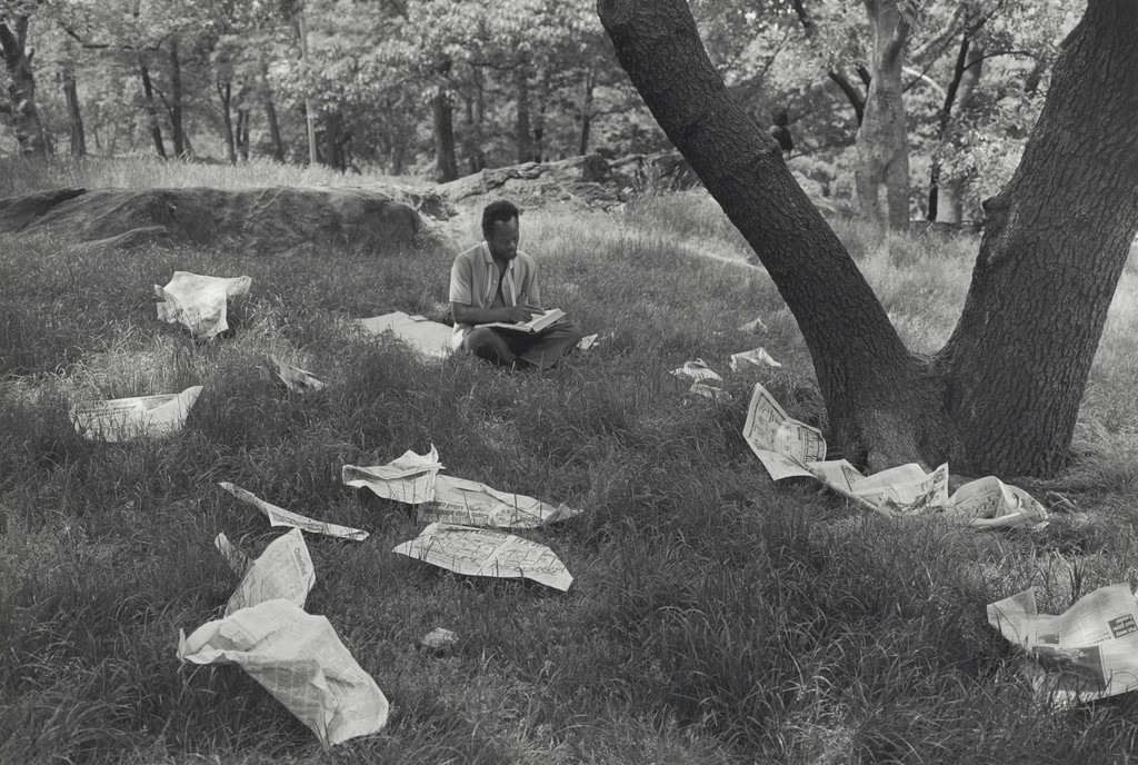 Man and Newspapers in Grass, Central Park