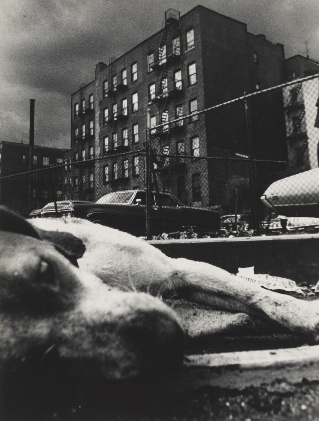 Miguel Rio Branco. Untitled. 1970-72