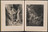 Max Ernst. Volume II: L&#39;Eau (Volume II: Water) from Une Semaine de bonté ou les sept éléments capitaux (A Week of Kindness or the Seven Deadly Elements). 1933–34, published 1934