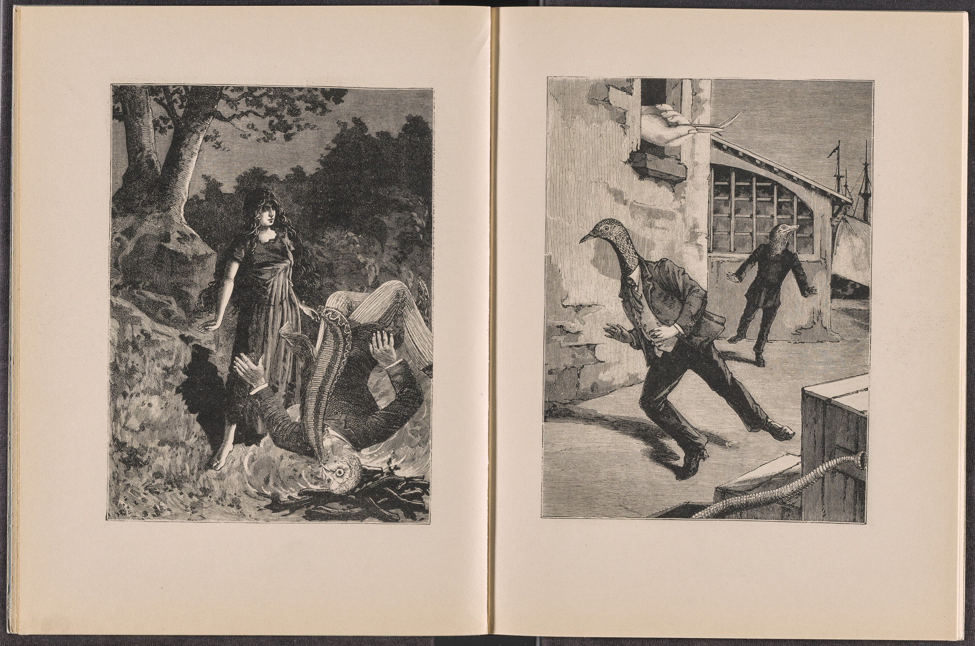 Max Ernst. Volume IV: Oedipe (Volume IV: Oedipus) from Une Semaine de bonté ou les sept éléments capitaux (A Week of Kindness or the Seven Deadly Elements). 1933–34, published 1934