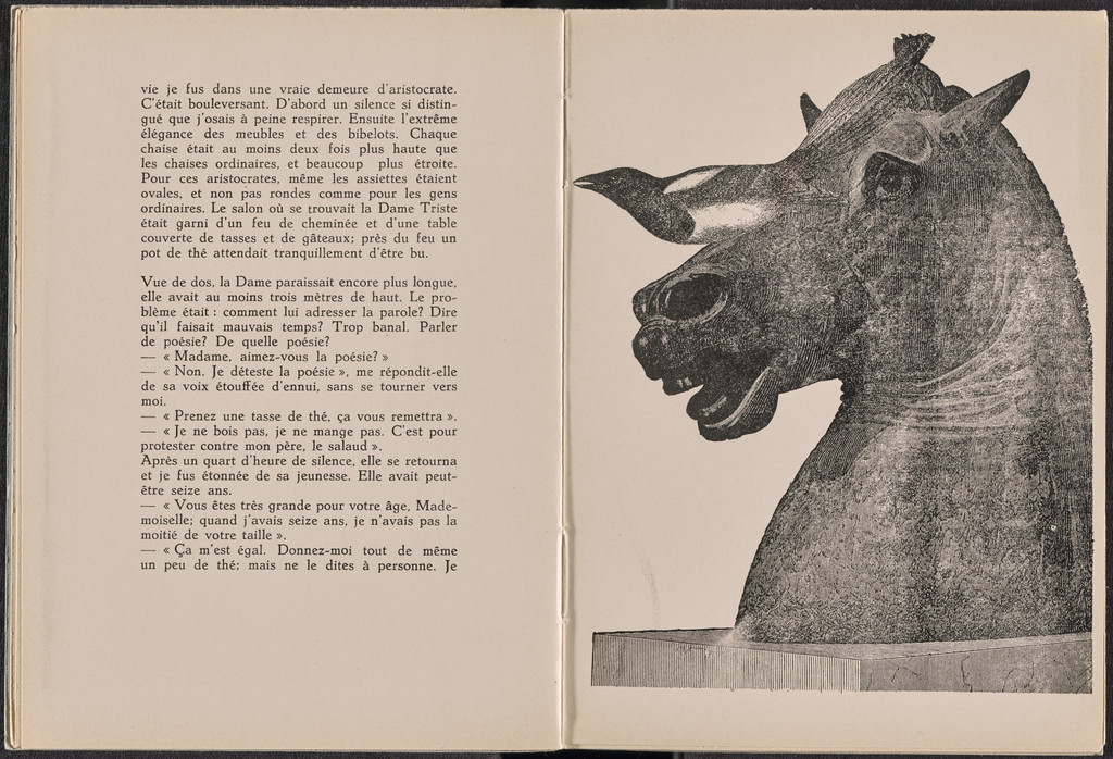 Plate (folio 5) from La Dame ovale