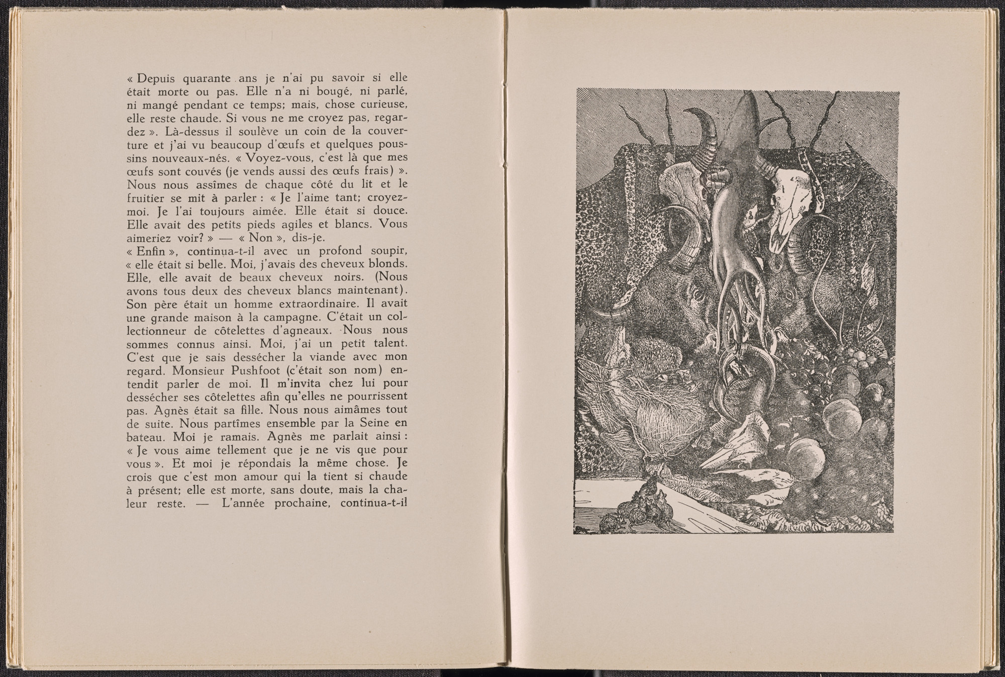 Max Ernst. Plate (folio 19) from La Dame ovale. 1939