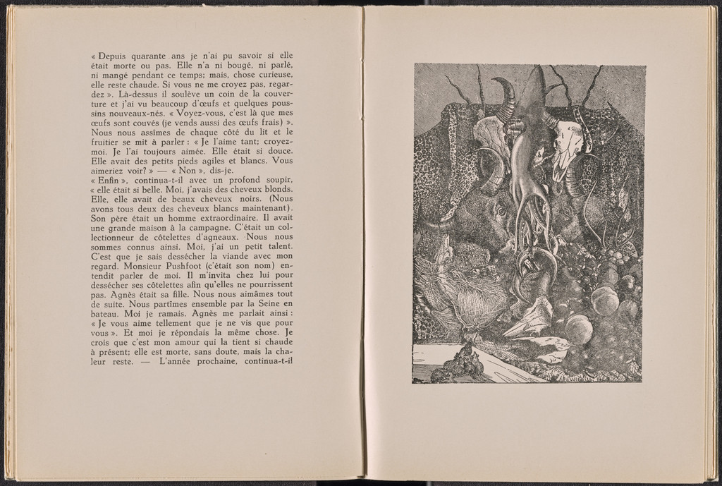 Plate (folio 19) from La Dame ovale