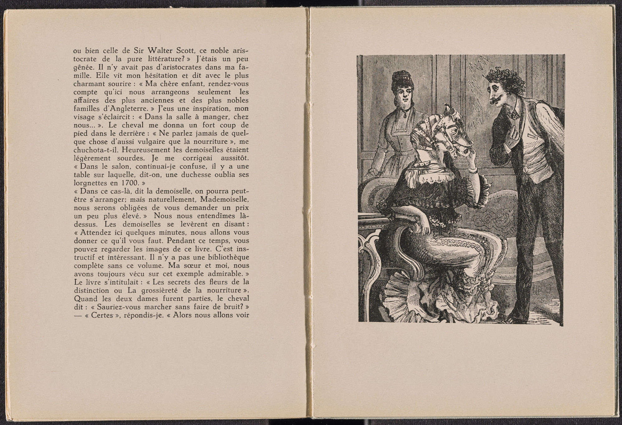 Max Ernst. Plate (folio 24) from La Dame ovale