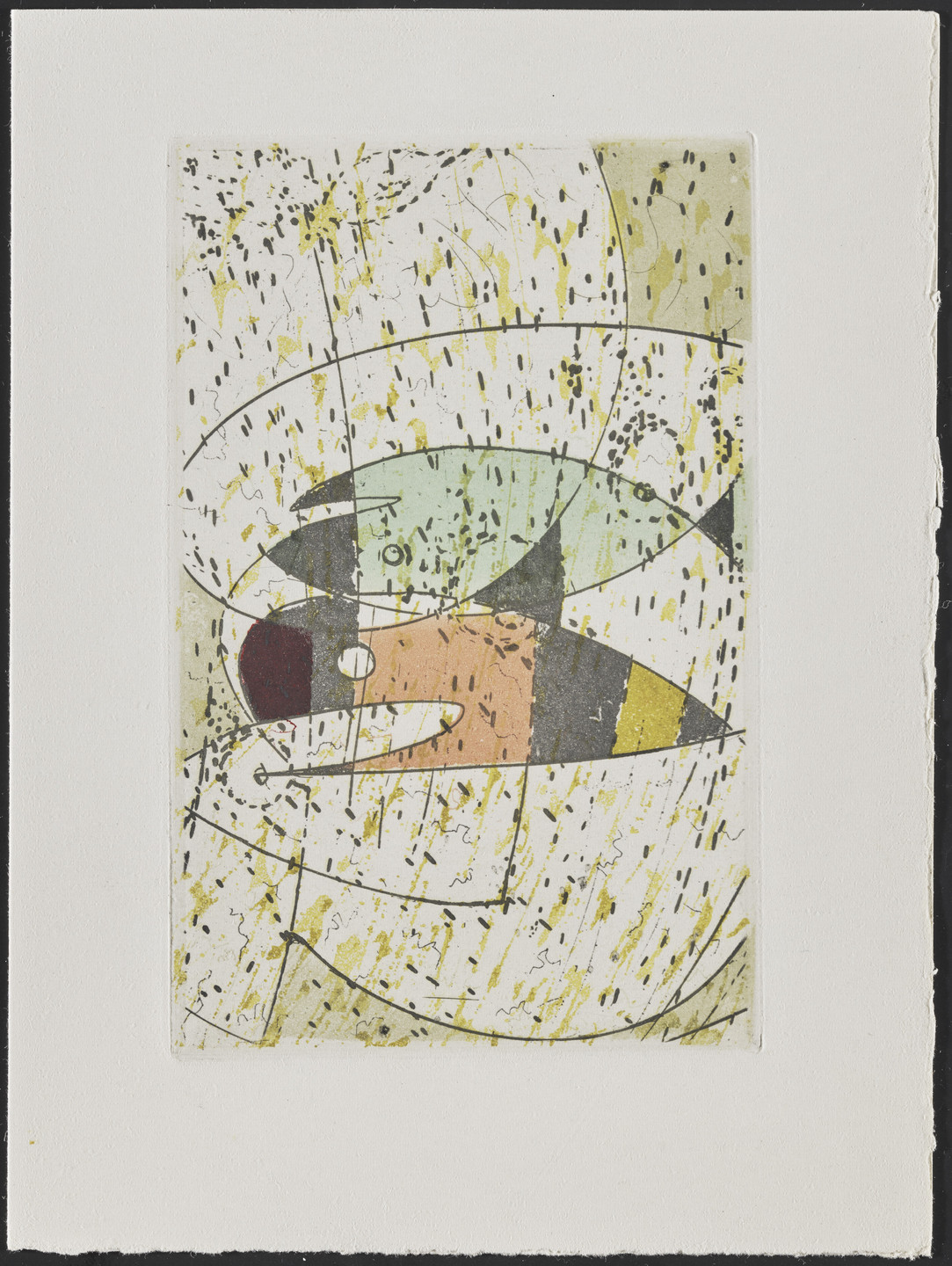 Max Ernst. Plate (page 21) from Galapagos: Les Iles du bout du monde. 1955