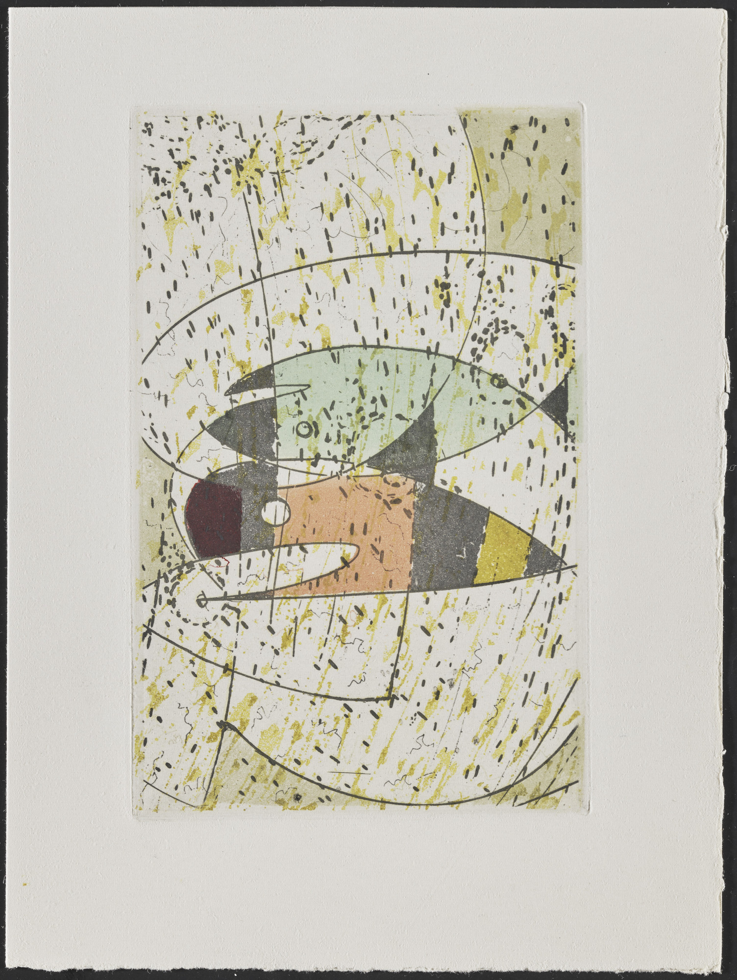 Max Ernst. Plate (page 21) from Galapagos: Les Iles du bout du monde