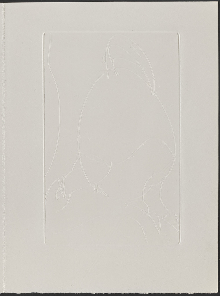 Plate (page 27) from Galapagos: Les Iles du bout du monde