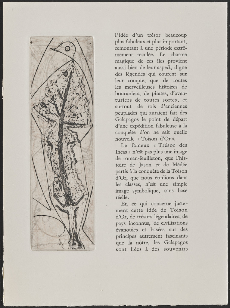 In-text plate (page 32) from Galapagos: Les Iles du bout du monde