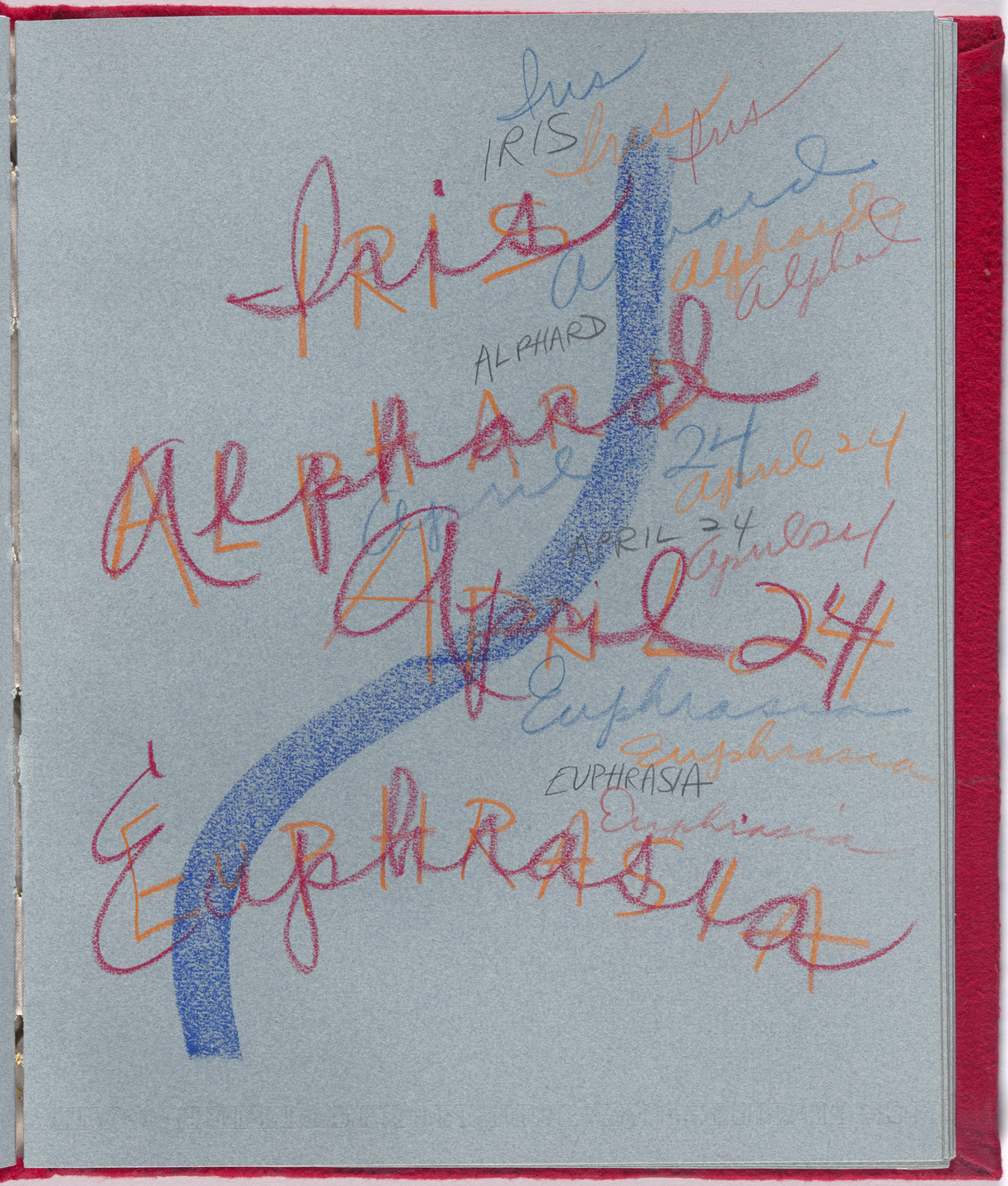 Rosemary Mayer. Some Days in April. 1979