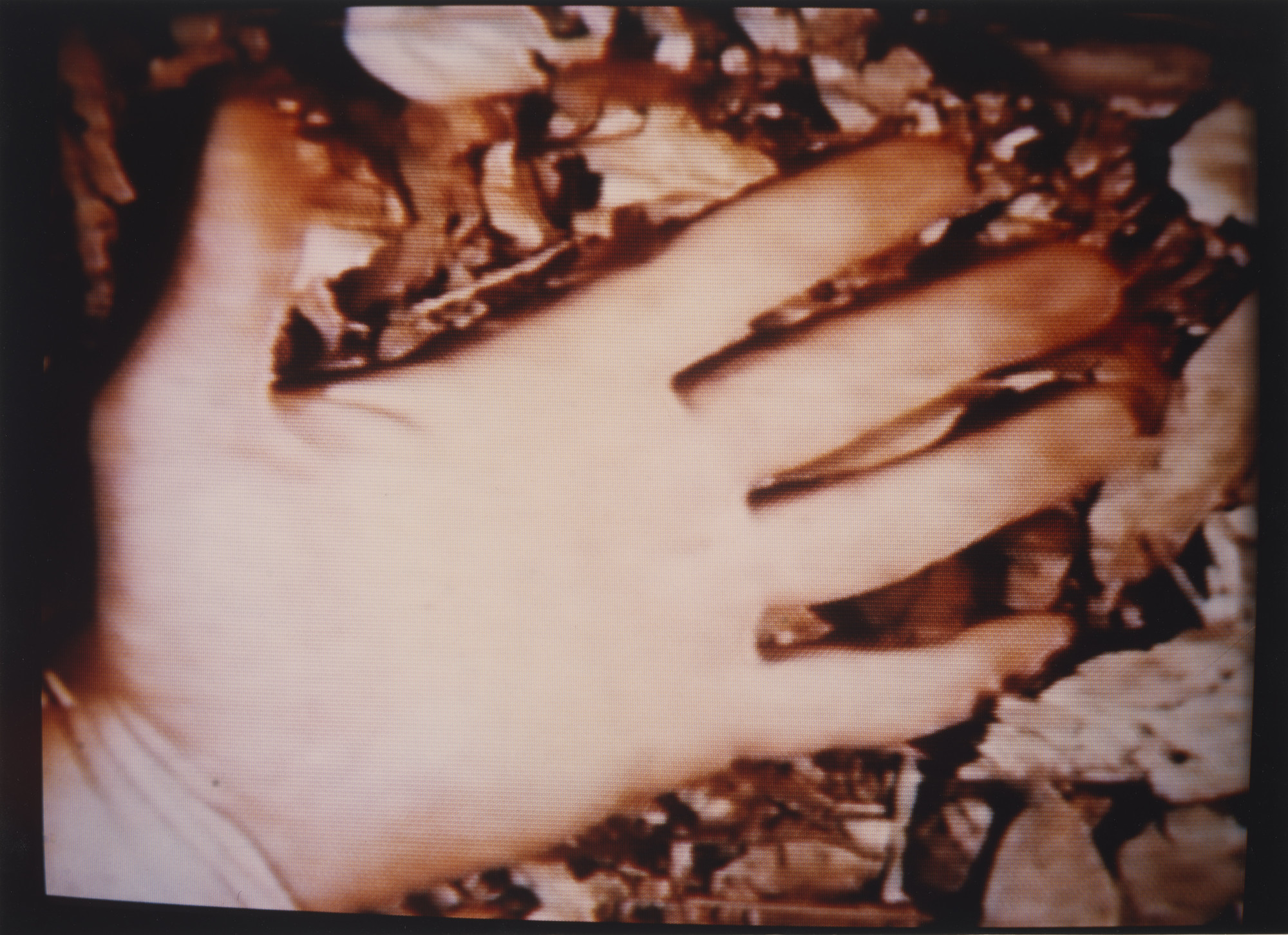 Dennis Oppenheim. Leafed Hand