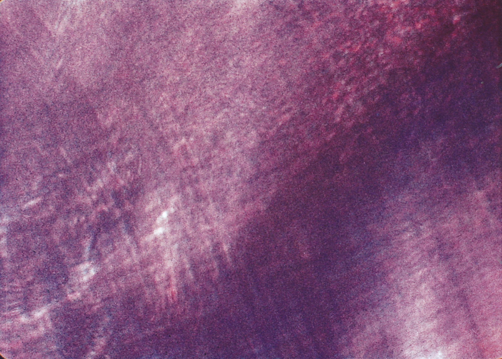 Stan Brakhage. The Text of Light. 1974
