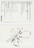 Giorgia Lupi, Stefanie Posavec. Dear Data: Week 2 (Straight Lines / A Week of Public Transportation). 2014