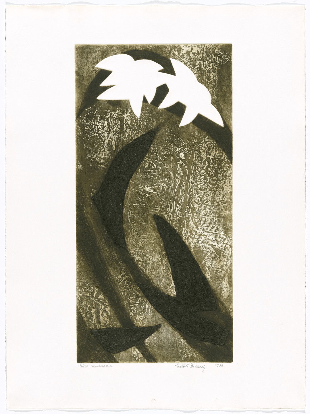Edith Behring. Amazonia from AGPA 73: Pan American Graphic Arts (AGPA 73: Artes gráficas panamericanas). 1973