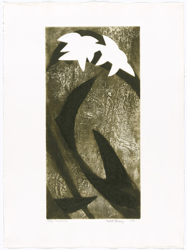 Amazonia from AGPA 73: Pan American Graphic Arts (AGPA 73: Artes gráficas panamericanas)