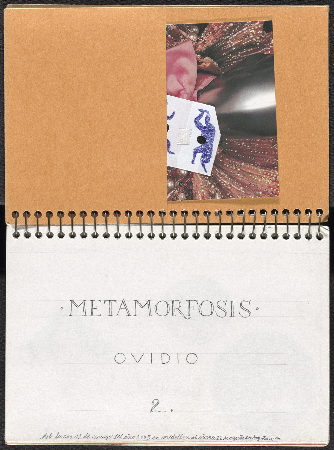 José Antonio Suárez Londoño. Metamorphoses Ovid II (Metamorfosis Ovidio II). 2003