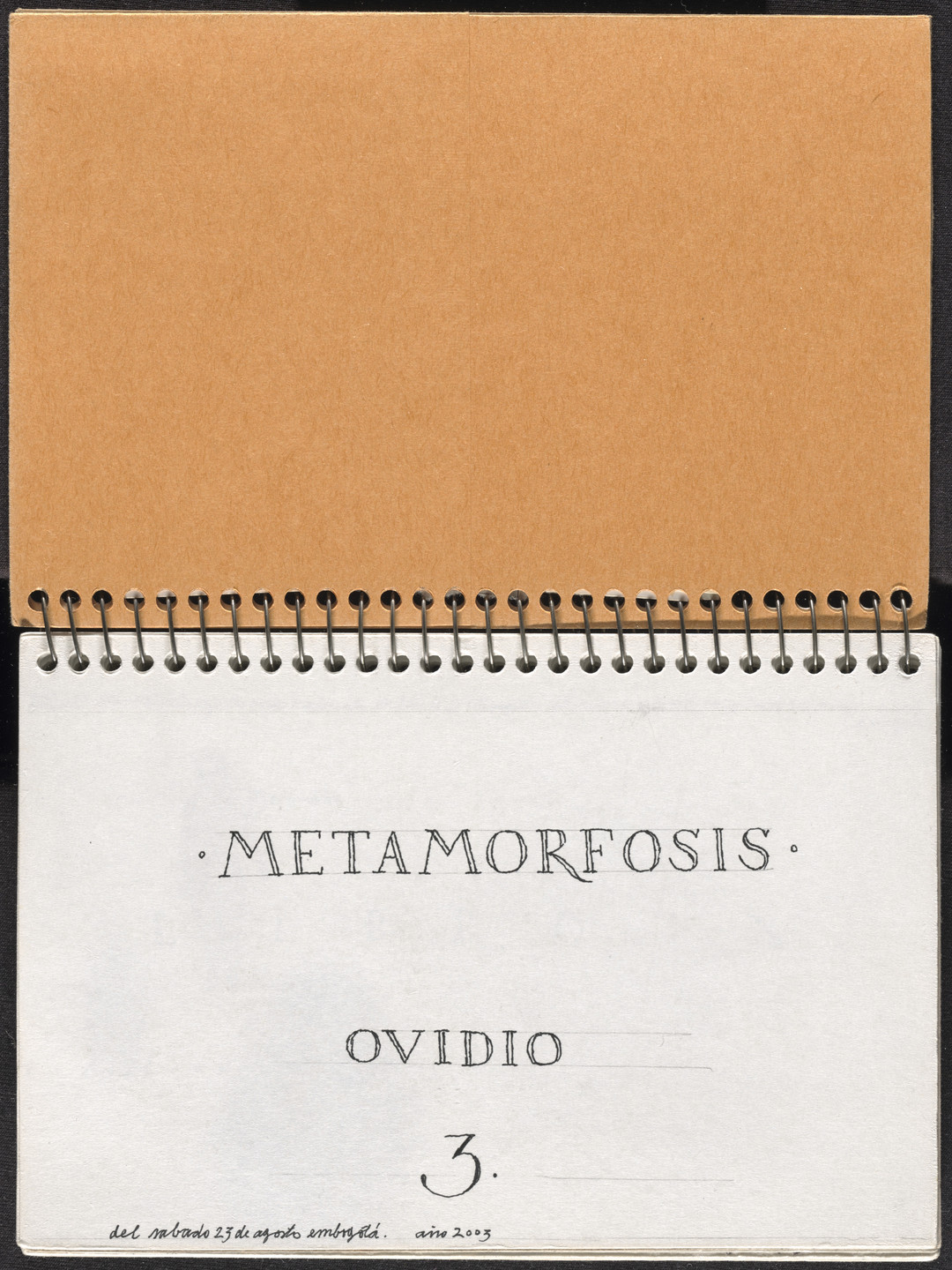 José Antonio Suárez Londoño. Metamorphoses Ovid III (Metamorfosis Ovidio III). 2003