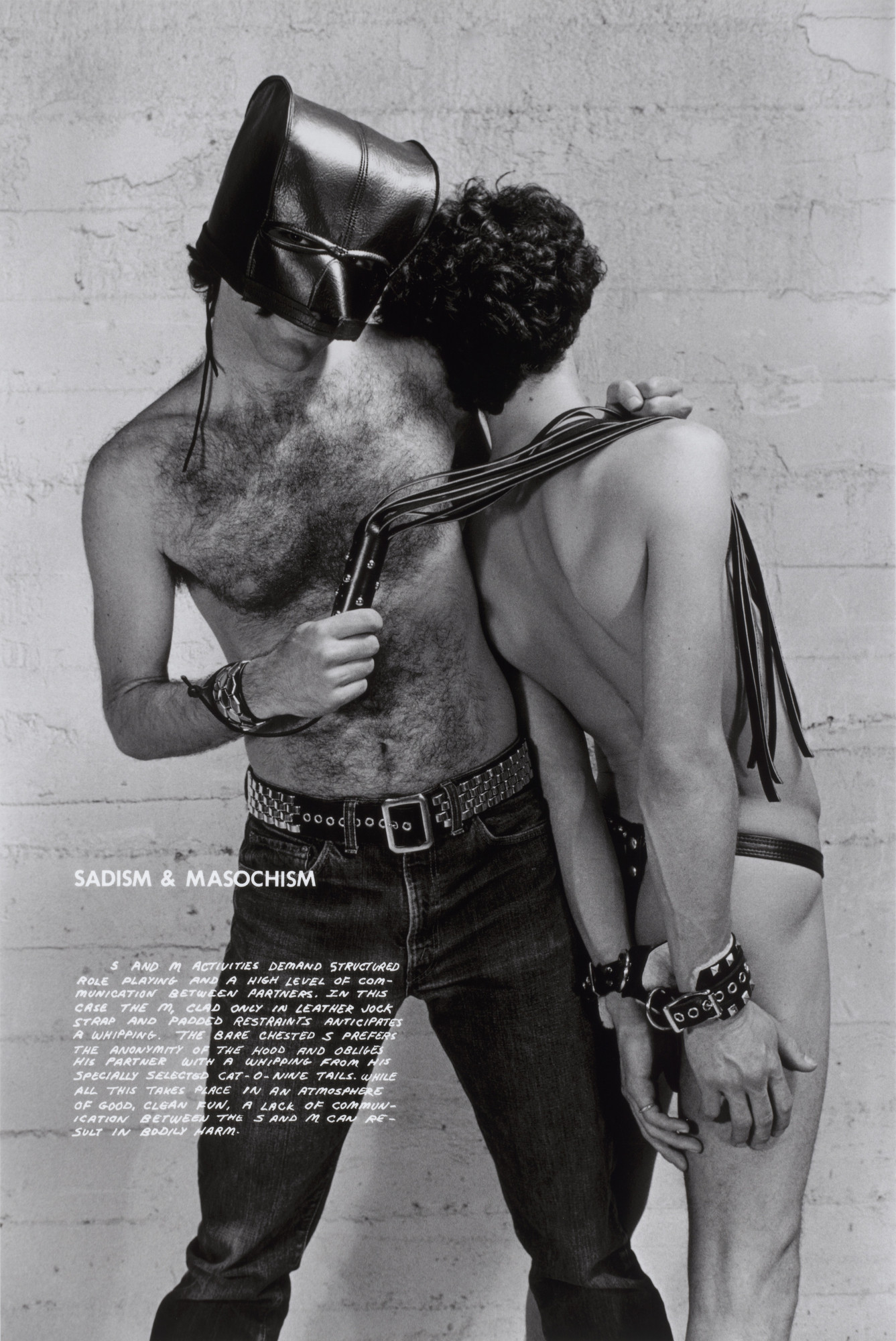 Hal Fischer. Sadism & Masochism