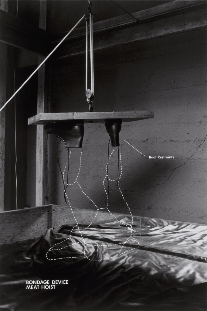 Bondage Device: Meat Hoist