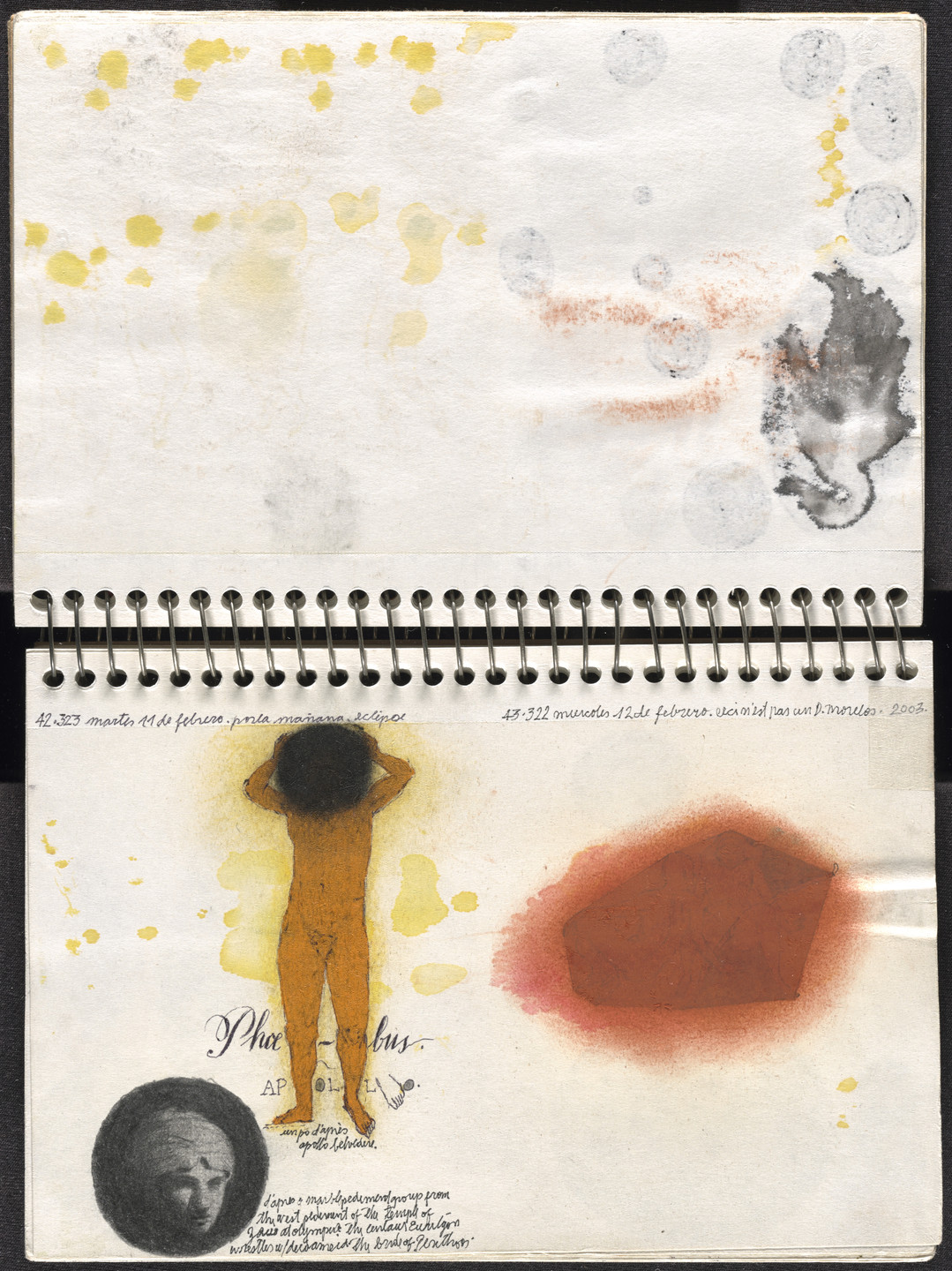 José Antonio Suárez Londoño. Metamorphoses Ovid I (Metamorfosis Ovidio I). 2003